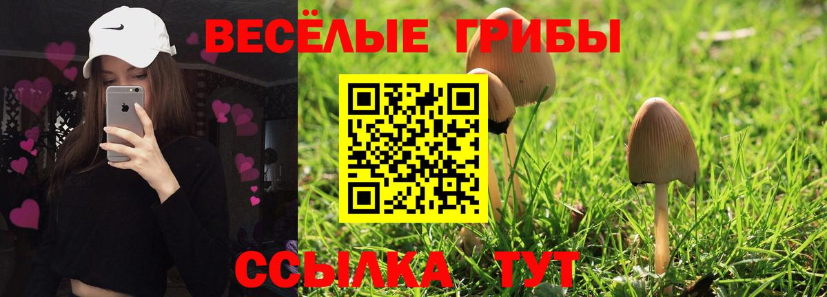 Протвино  Галлюциногенные грибы прущие грибы  Вход с VPN  Галлюциногенные грибы ЛСД 