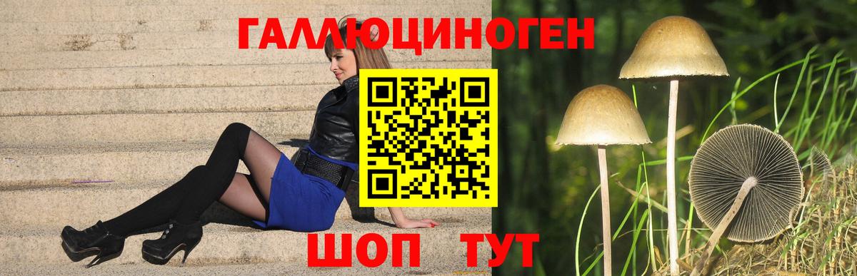 Псилоцибиновые грибы Cubensis Протвино